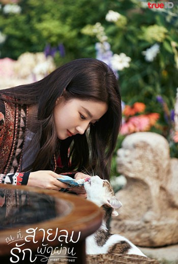 Meet Yourself (2023) ณ ที่สายลมรักพัดผ่าน